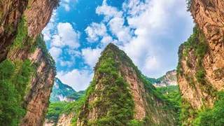 太行绿海送清凉 上党古韵迎盛夏