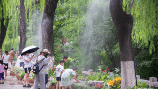济南趵突泉泉水花卉小景启幕 7月起主会场带您解锁亲水赏泉新体验