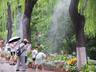济南趵突泉泉水花卉小景启幕 7月起主会场带您解锁亲水赏泉新体验