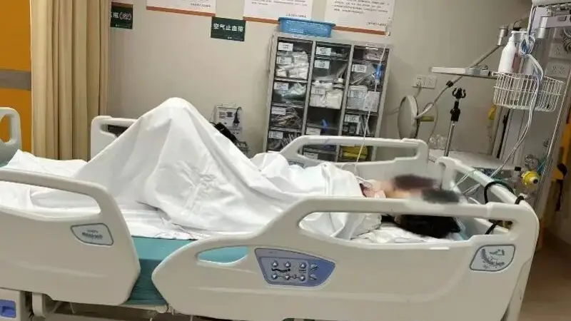 上海反虐猫志愿者遭网暴致轻生后获救 家属将协助其依法维权