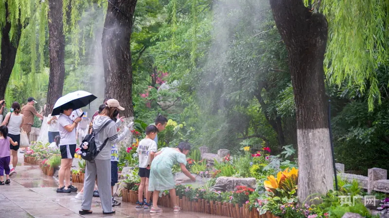 济南趵突泉泉水花卉小景启幕 7月起主会场带您解锁亲水赏泉新体验