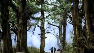 绵阳公路：古道新途，山水画卷中的交通脉络