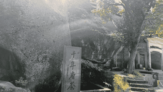 温州大罗山化成洞探访千年唐茶