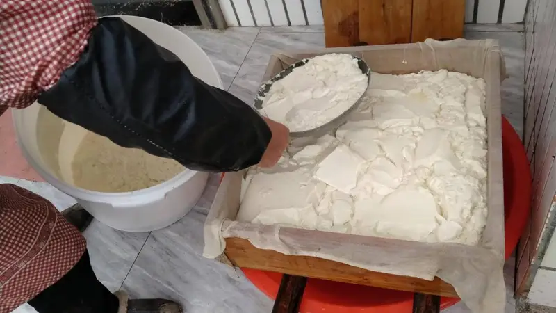 现在的豆腐为啥没小时候那个味儿：是味觉变了还是豆腐变了？