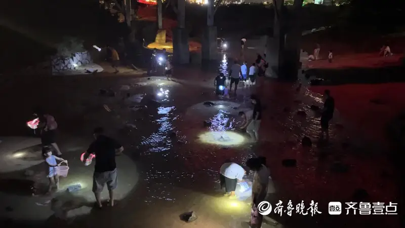 山海天太公岛牡蛎公园：夜幕赶海乐趣多 海鲜“寻宝”正当时