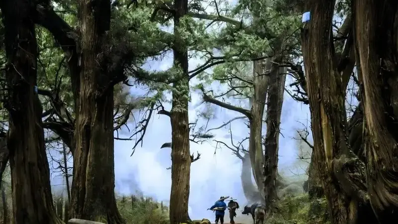 绵阳公路：古道新途，山水画卷中的交通脉络