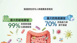 发酵食品养肠有讲究：不同菌种功效各异，选错可能扰乱肠道菌群平衡