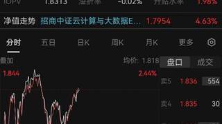 权重股催化不断 中际旭创H股IPO发行价公布 云计算ETF午后延续涨势