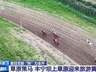 各地推出“夏日限定”文旅项目 吸引游客体验草原民俗文化