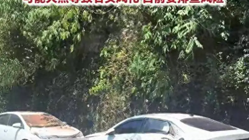 贵州赤水丹霞大瀑布景区山体落石致游客受伤 车辆被砸