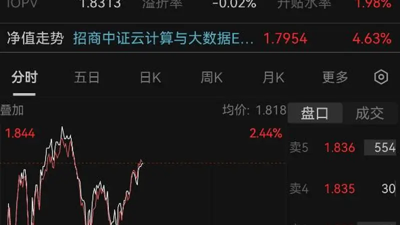权重股催化不断 中际旭创H股IPO发行价公布 云计算ETF午后延续涨势