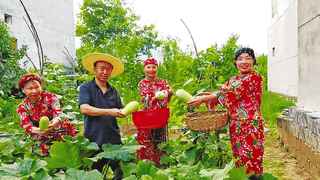 秦岭避暑经济热潮：桃坪村成游客避暑养身胜地