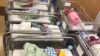 全球生育率暴跌：人类未来面临空前危机？