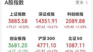 托伦斯20cm涨停×2 半导体设备板块领涨A股