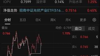 光伏板块受资金青睐超13亿元 政策加码新国标加速产能出清