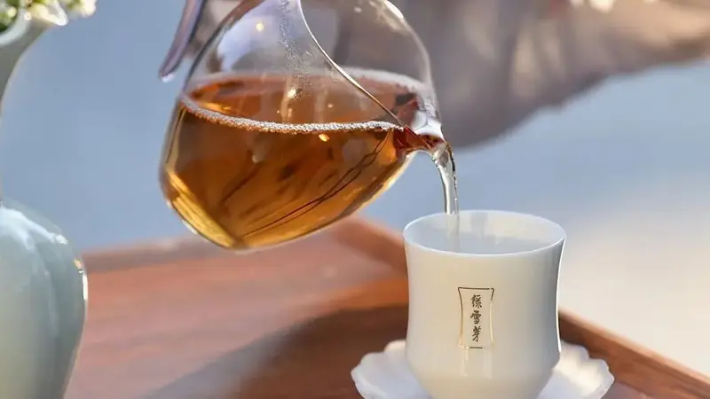 太姥山与绿雪芽：福鼎白茶共生之道