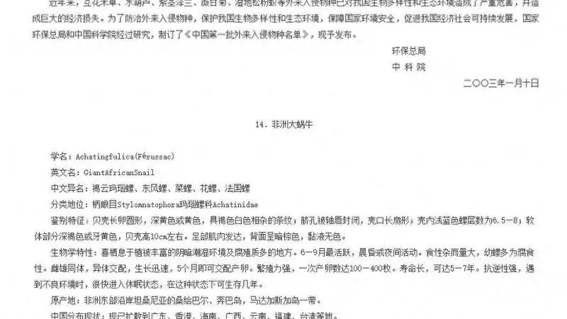 2025年入侵预警：非洲大蜗牛已抵江苏安徽 北方防控在即