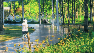 上海30万㎡夏日乐园免费开放 向日葵花海与森林咖啡等你来玩