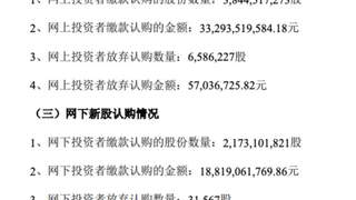 长鑫科技IPO网上弃购658万股战配规模腰斩引关注