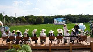 呈贡22℃暑期文旅盛宴：游花海、摘葡萄、跳火把、逛潮集、听音乐会