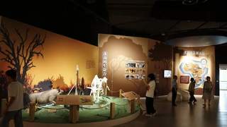 重庆自然博物馆新展带您领略非洲野生动物奇观