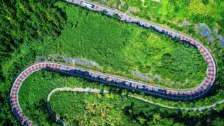 涪陵武陵山极光音乐节多元主题点亮暑期文旅体验