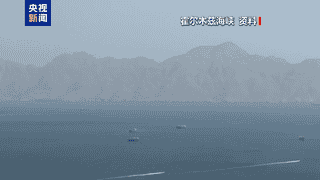 最新进展：青海门源油菜花海游客遭蜂群围攻，当地文旅部门回应调查中