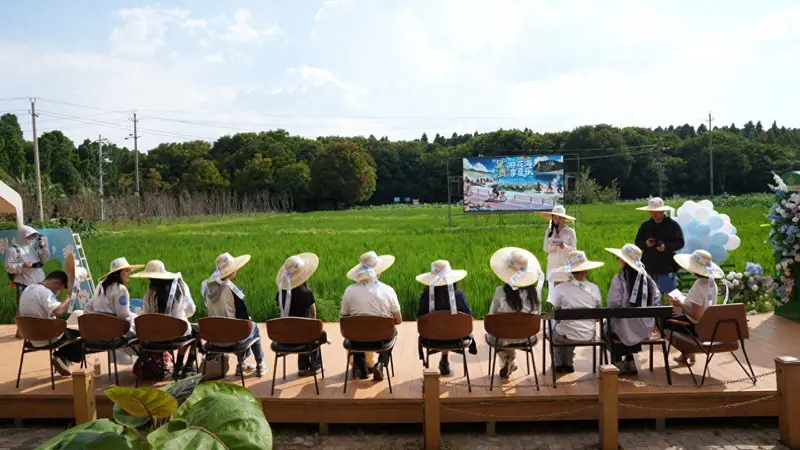 呈贡22℃暑期文旅盛宴：游花海、摘葡萄、跳火把、逛潮集、听音乐会