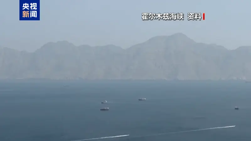 最新进展：青海门源油菜花海游客遭蜂群围攻，当地文旅部门回应调查中