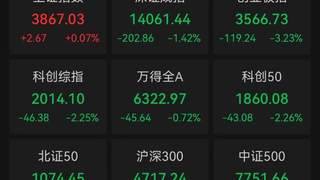 A股沪指收涨深指创业板指收跌 贵金属板块全天爆发