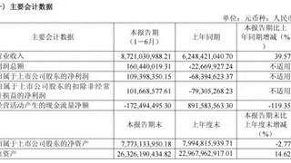 容百科技上半年扭亏为盈 营业现金流量净额大幅下降