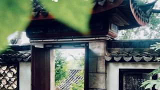 盛夏极热，静候秋风