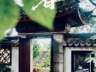 盛夏极热，静候秋风