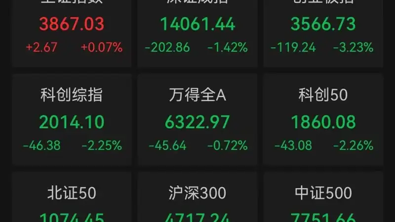A股沪指收涨深指创业板指收跌 贵金属板块全天爆发