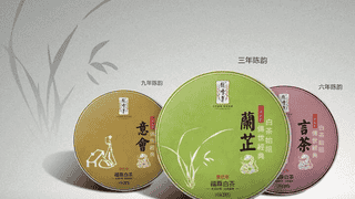 绿雪芽与福鼎白茶：产区风土与品质传承的深情共鸣