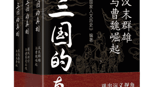 三国的真相：从汉末政局到司马夺权的全面解读