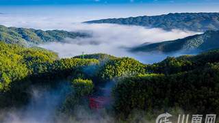 蜀南竹海：大暑时节的清凉绿洲，沉浸式避暑体验开启