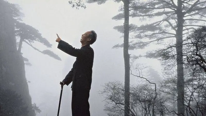 法国摄影师1985年拍摄的人间仙境黄山作品：中山装老者与云海奇松的对话