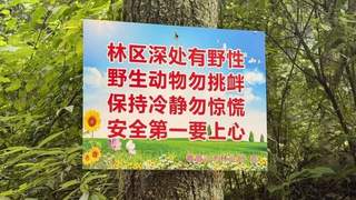 警惕网红“野景点”，莫拿生命去冒险