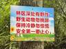 警惕网红“野景点”，莫拿生命去冒险