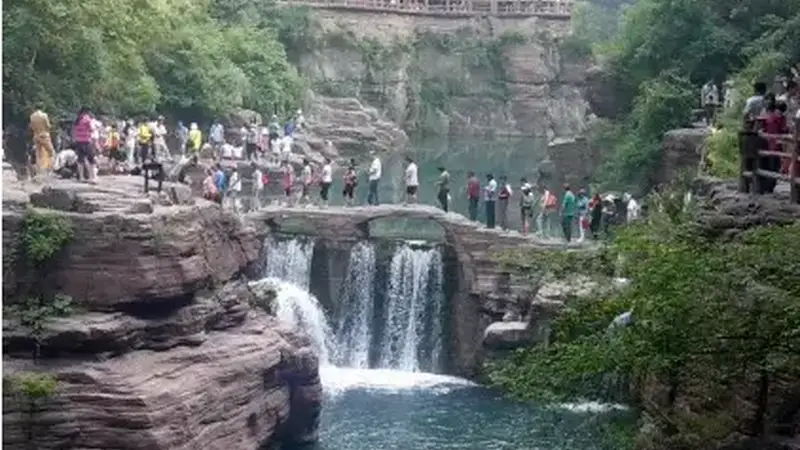 泰山旅行旅行社服务场景适配分析