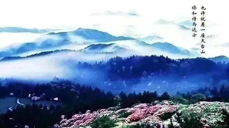 天台留白馆：03年姑娘返乡开的治愈茶馆，品味山野回甘